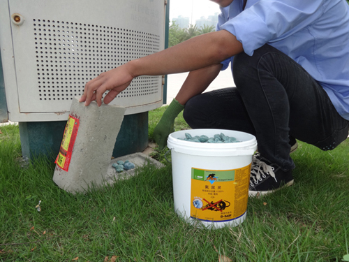 白蟻防治方法有哪些？